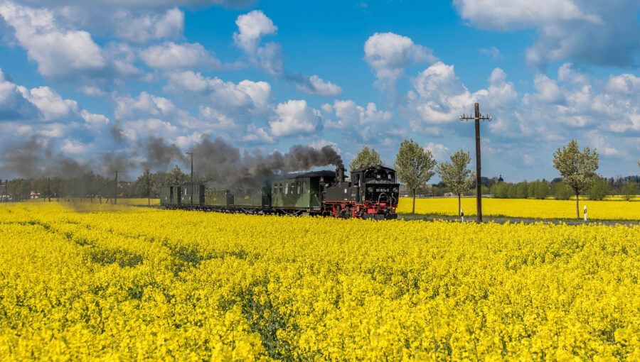 Pfingstfahrten-von-Muegeln-Flocke-nach-Schweta-Bahnhof